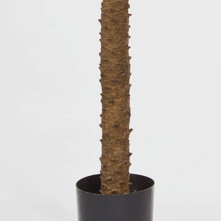 artplants.de Künstliche Phönixpalme, Deluxe, 225cm - hochwertige Kunstpalme - Künstliche Palme
