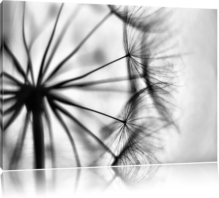 Pixxprint Weisse Pusteblumen/Format: 100x70cm / Leinwandbild fertig bespannt Wandbild Kunstdruck, 10