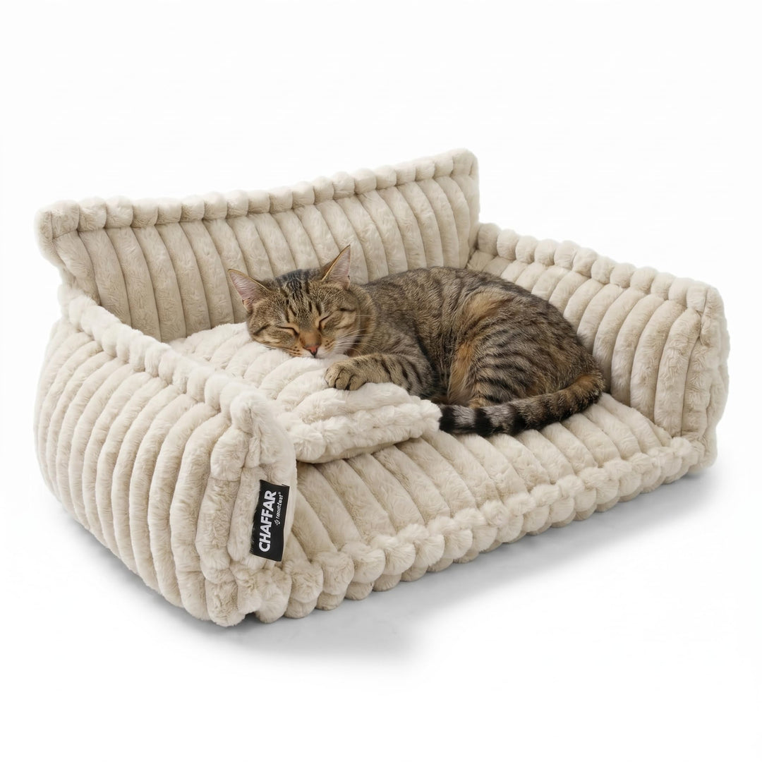 Katzensofa Chaffar | Katzenbett Hundebett Hundesofa | Orthopädische Matratze | Moderner Stil | Cord-