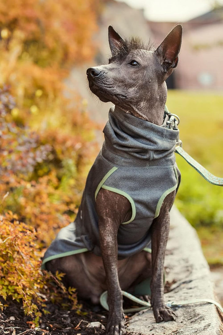 Hurtta Razzle-Dazzle Midlayer Jacke für Hunde, verstellbar, wendbar, Pull On, unter Regenmänteln und