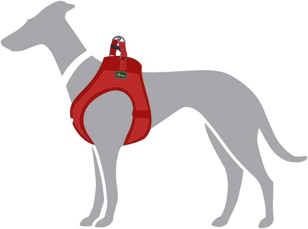 Hunter Hundegeschirr Love, Farbe: rot, weiches Rindsleder, atmungsaktive Mesh-Polsterung, Herz handg