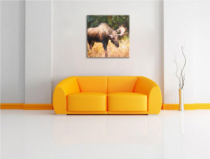prächtiger Elch auf Wiese, Format: 70x70 auf Leinwand, XXL riesige Bilder fertig gerahmt mit Keilrah