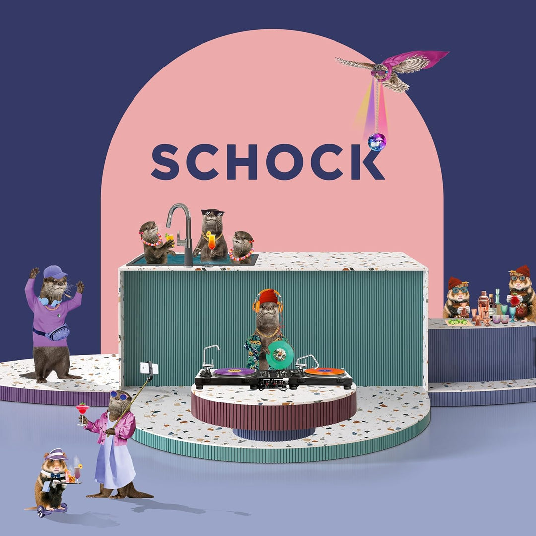 SCHOCK Küchenarmatur VITUS – Hochdruck Armatur aus Edelstahl mit Festauslauf und Standard Norm-Ansch