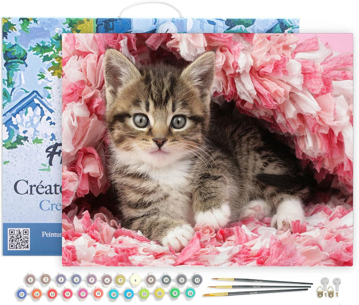 Figured'Art Malen Nach Zahlen Erwachsene Mit Rahmen Katze unter Decke - Paint by Numbers Basteln DIY
