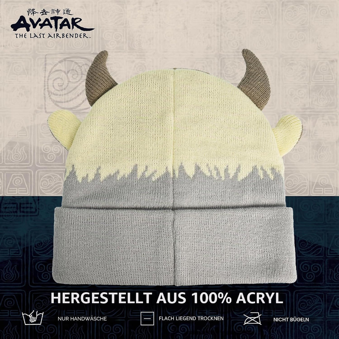 Avatar The Last Airbender Strickmütze für den Winter, mit Manschette, Mehrfarbig, Einheitsgrösse mul