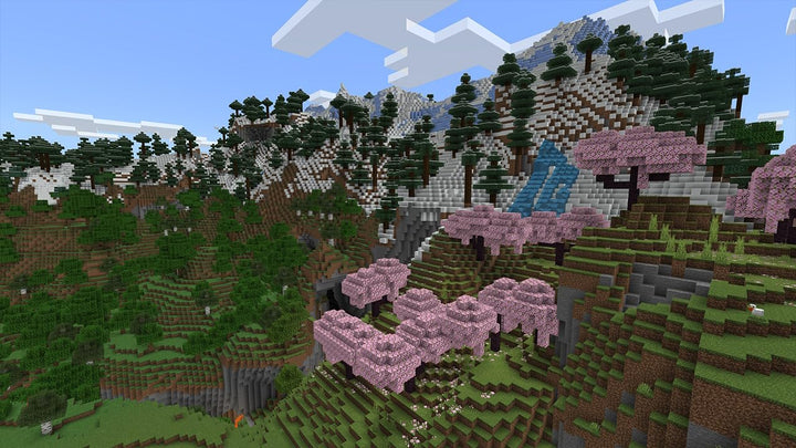 Nintendo Minecraft - [Nintendo Switch] Nintendo Switch Standard, Nintendo Switch Standard