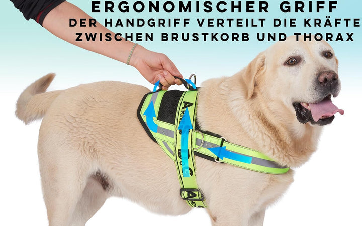 Hundegeschirr mit 3 Metallösen zur Befestigung Ihrer Brust oder Ihres Brustgurts, um Ihren Hals Nich