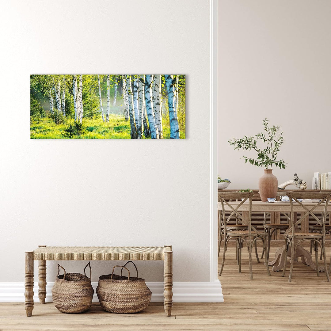 Glasbild Wald Natur Landschaft Birkenwald 125x50 cm Modern Glasbilder Wohnzimmer Schlafzimmer Badezi