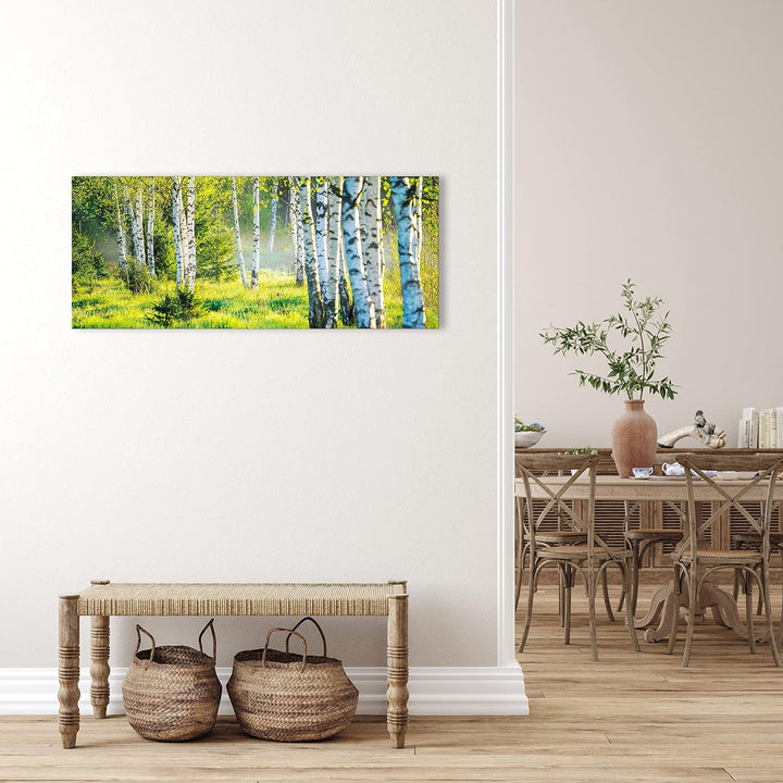 Glasbild Wald Natur Landschaft Birkenwald 125x50 cm Modern Glasbilder Wohnzimmer Schlafzimmer Badezi