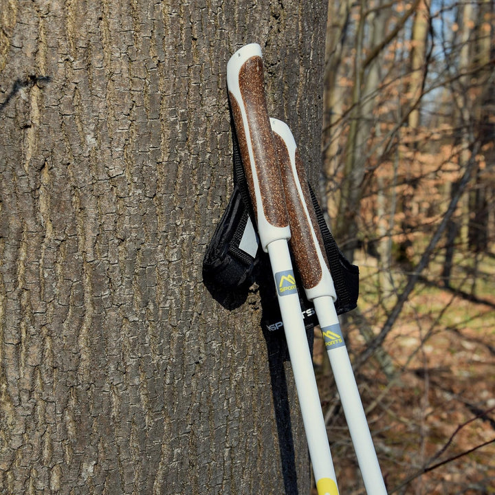 Nordic Walking Stöcke Premium - hochwertige Qualität - Superleicht - auswählbar mit Tragetasche - Wa