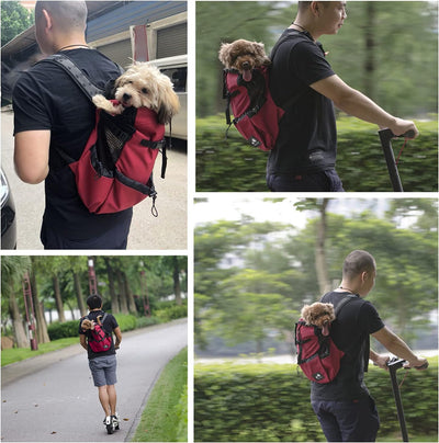 PETCUTE Hundetasche Hundetransporttasche Tragetasche füR Hunde Katzen Wanderrucksack Seite Atmungsak