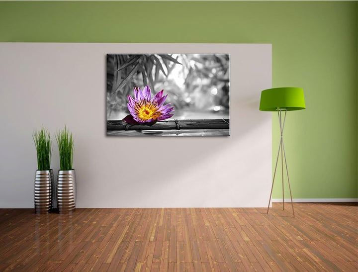 zarte Seerose auf Bambus schwarz/weiss Format: 100x70 auf Leinwand, XXL riesige Bilder fertig gerahm