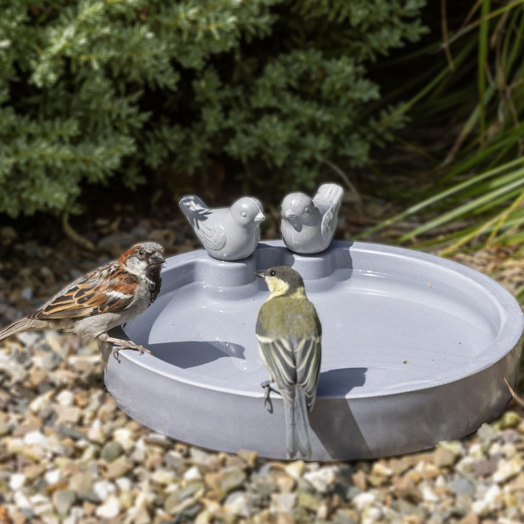 CJ Wildlife vogeltränke Winterfest – vogeltränke frostsicher, trinkschale vögel – aus pflanzenbasier