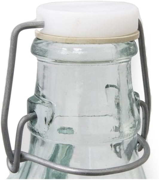 lilawelt24 2X 5L Flasche mit Bügelverschluss +Gummistopfen + Gärröhrchen/Gärballon Set Weinballon Gä