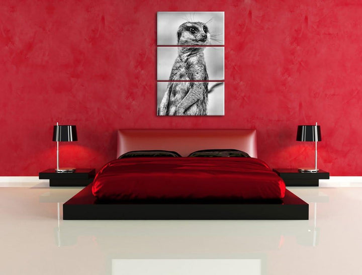 Pixxprint aufmerksames Erdmännchen / 3-Teilig/Gesamtmass 120cm Leinwandbild bespannt auf Holzrahmen/