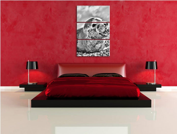 Pixxprint Süsse Robbe auf Steinstrand als Leinwandbild/Grösse: 3 Teilig (120x80) cm/Wandbild/Kunstdr