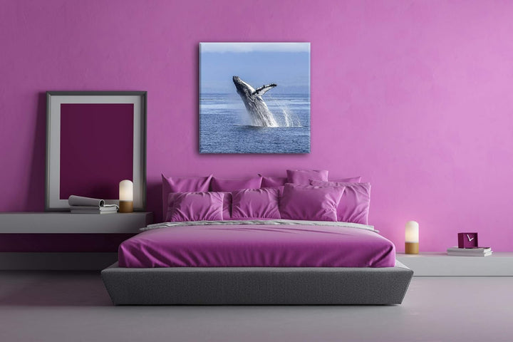 deyoli atemberaubender Buckelwal im Meer im Format: 70x70 als Leinwandbild, Motiv fertig gerahmt auf
