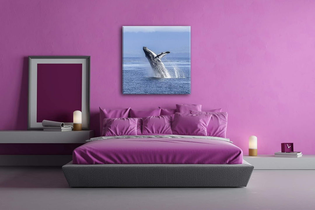deyoli atemberaubender Buckelwal im Meer im Format: 60x60 als Leinwandbild, Motiv fertig gerahmt auf