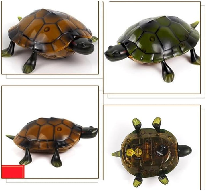 ibasenice Ferngesteuerte Schildkröte Spielzeug, Realistische Elektrische Roboter Schildkröte mit Fer