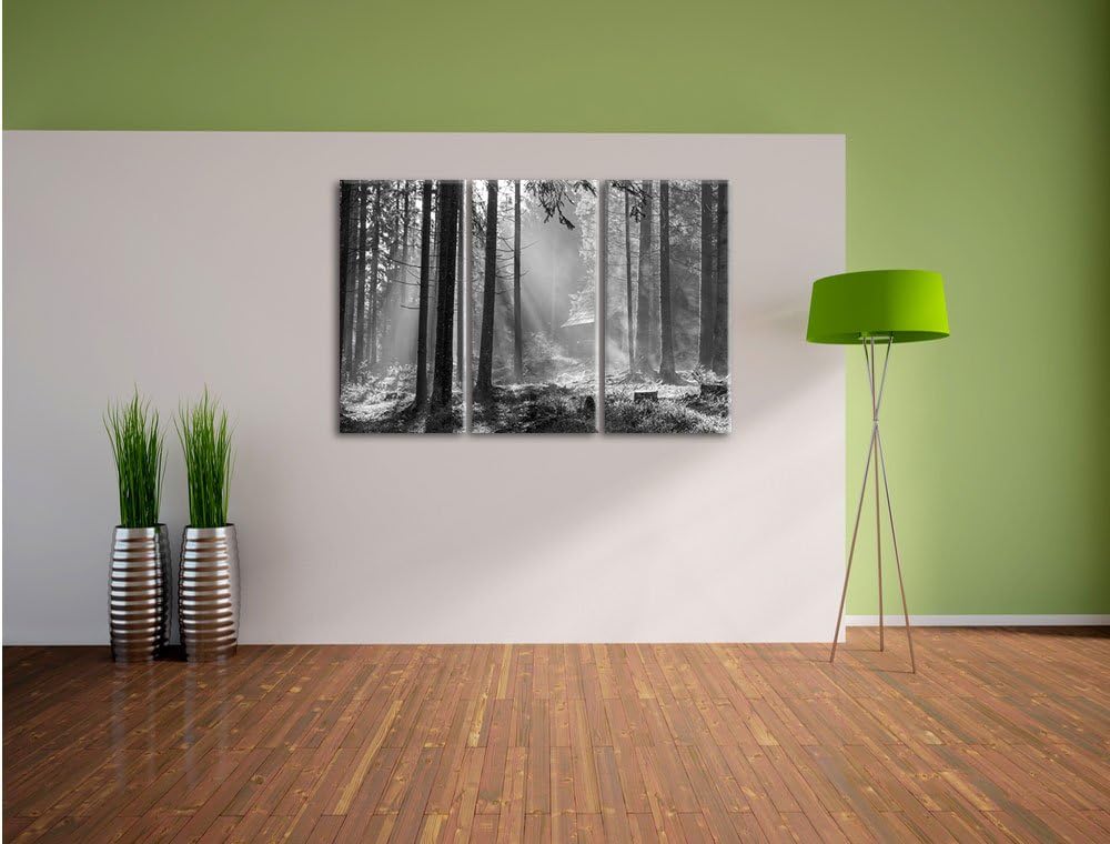Pixxprint Häuschen im Wald mit Sonnenstrahlen schwarz/weiss 3-Teiler Leinwandbild 120x80 Bild auf Le
