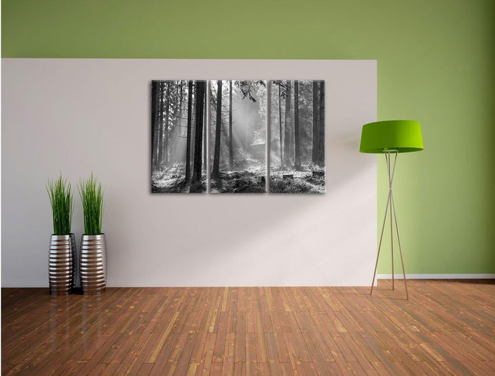 Pixxprint Häuschen im Wald mit Sonnenstrahlen schwarz/weiss 3-Teiler Leinwandbild 120x80 Bild auf Le