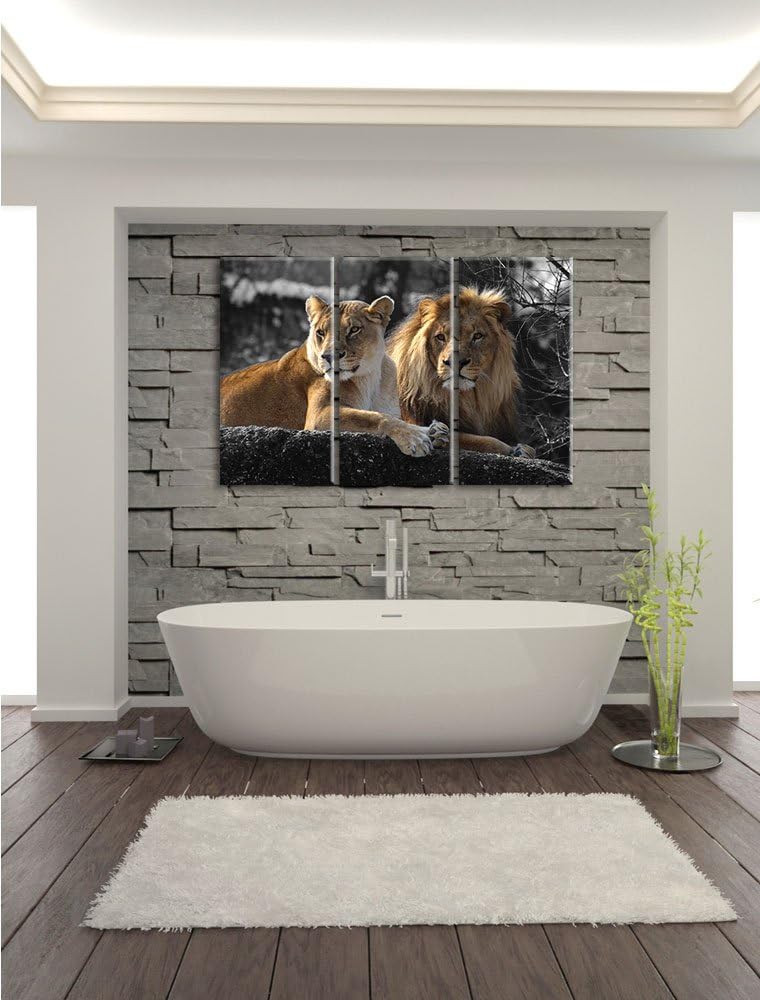 Pixxprint interessiertes Löwenpaar als Leinwandbild/Grösse: 3 Teilig (120x80) cm/Wandbild/Kunstdruck