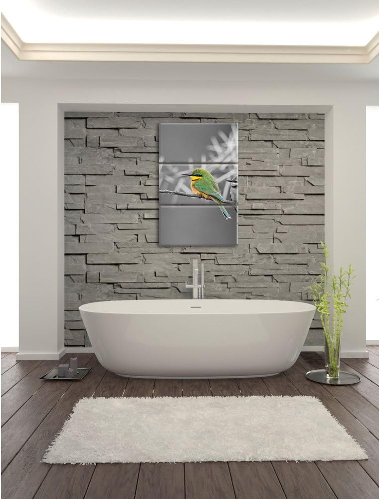 Pixxprint exotische Vögel auf AST als Leinwandbild/Grösse: 3 Teilig (120x80) cm/Wandbild/Kunstdruck/