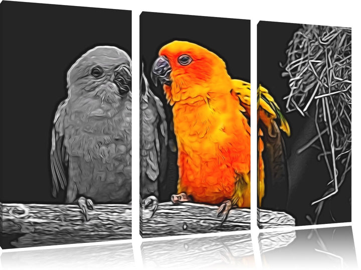 Dark zwei hübsche Sonnensittiche schwarz/weiss Spezial 3-Teiler Leinwandbild 120x80 Bild auf Leinwan