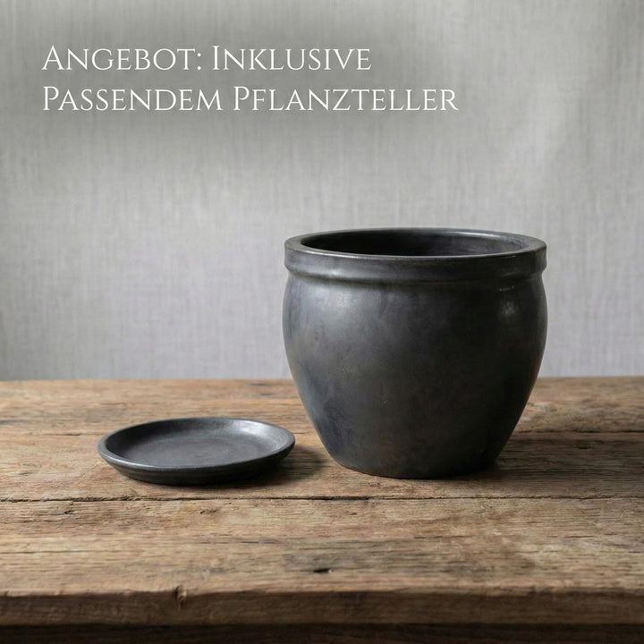 Teramico Blumenkübel Keramik mit Teller Ø 21cm – Handarbeit aus Steinzeug – Frostfester Pflanztopf g