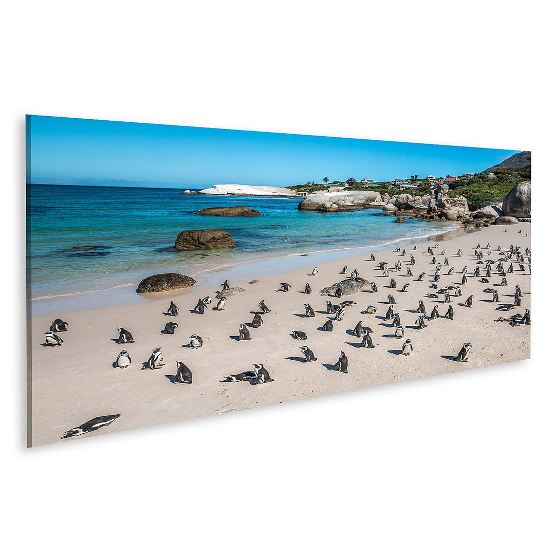 islandburner Bild auf Leinwand Pinguine Kapstadt Südafrika Afrikanischer Strand Bilder Wandbilder Po