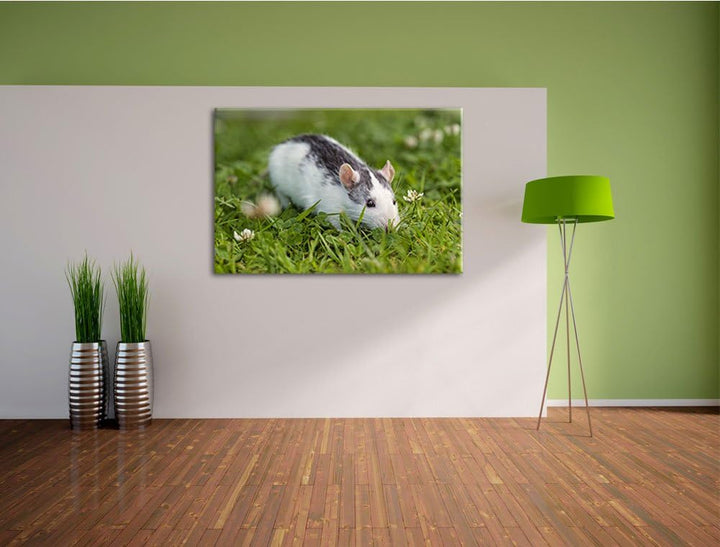 Pixxprint kleine Maus auf Blumenwiese auf Leinwand, XXL riesige Bilder fertig gerahmt mit Keilrahmen