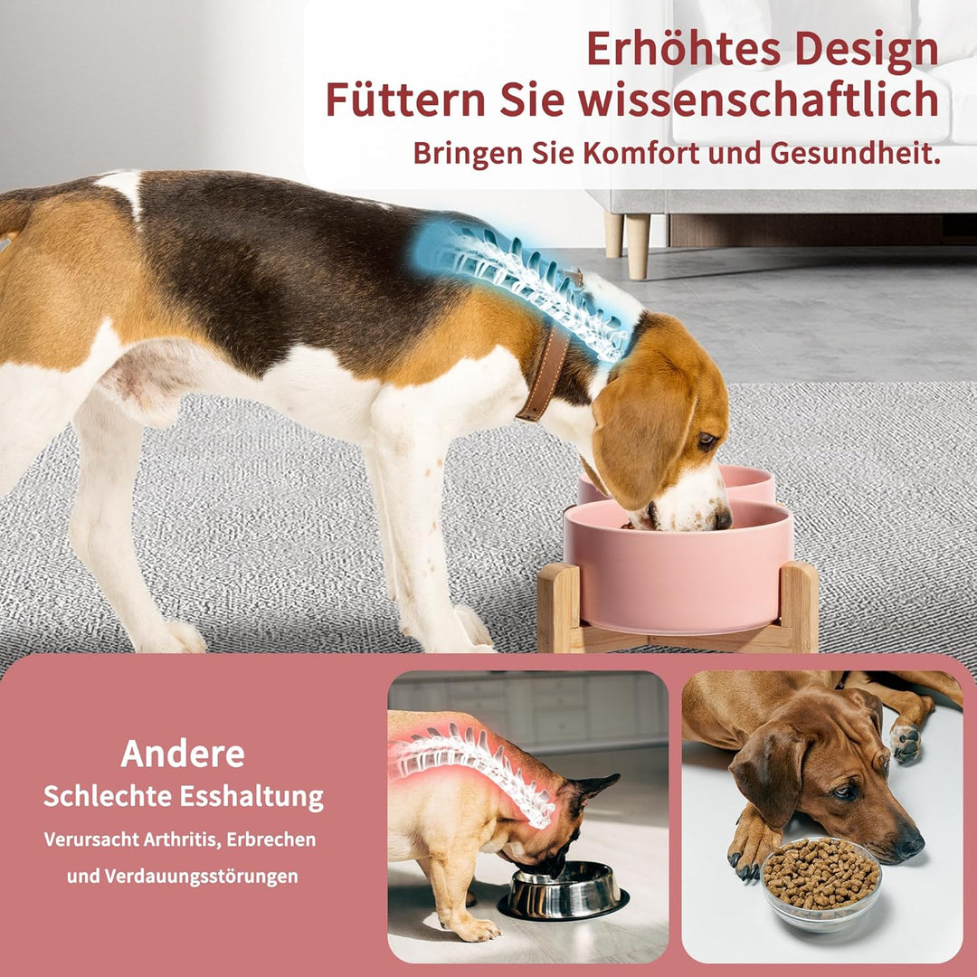 Hundenapf Set Erhöht Hunde Napfset - Doppel Napf Hund Keramik mit rutschfestem Ständer - Erhöhte Fut