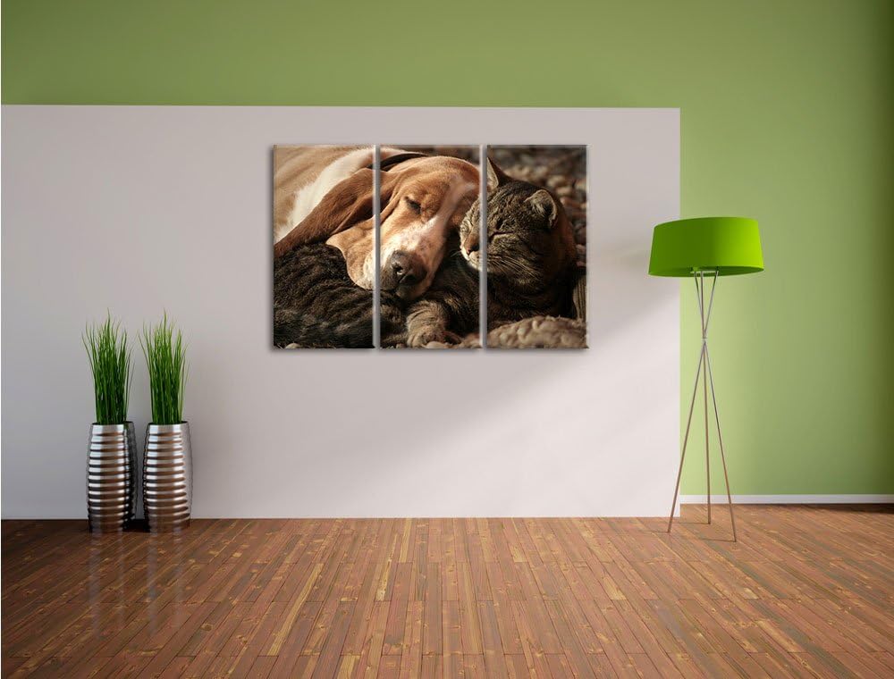 Pixxprint Katze und Hund kuschelnd als Leinwandbild/Grösse: 3 Teilig (120x80) / Wandbild/Kunstdruck/