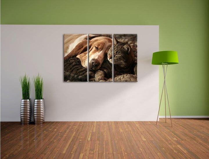 Pixxprint Katze und Hund kuschelnd als Leinwandbild/Grösse: 3 Teilig (120x80) / Wandbild/Kunstdruck/