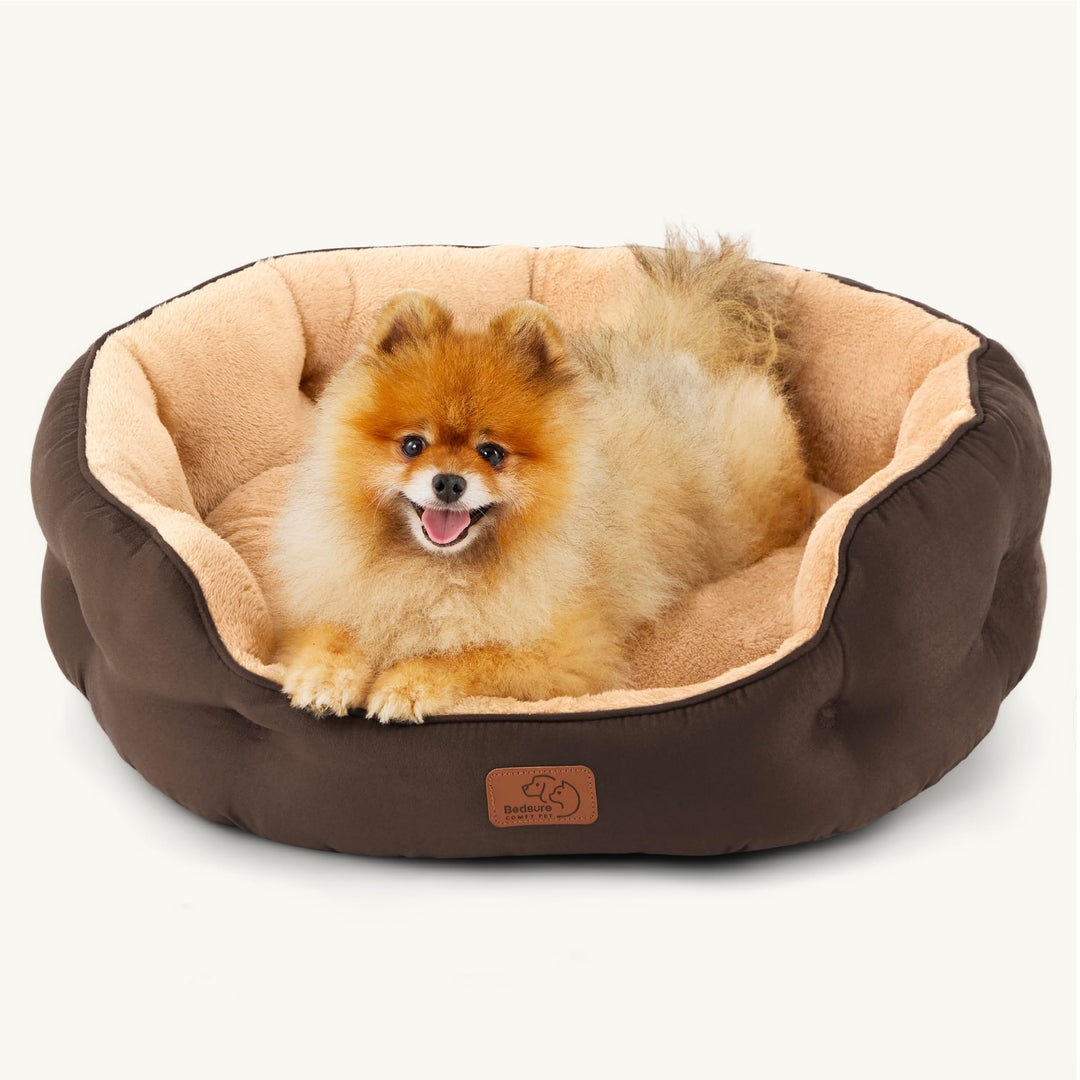 BEDSURE Katzenbett waschbar Katzen Bettchen - 63x53x20cm Katzenbett mit zweiseitig Innenkissen Katze