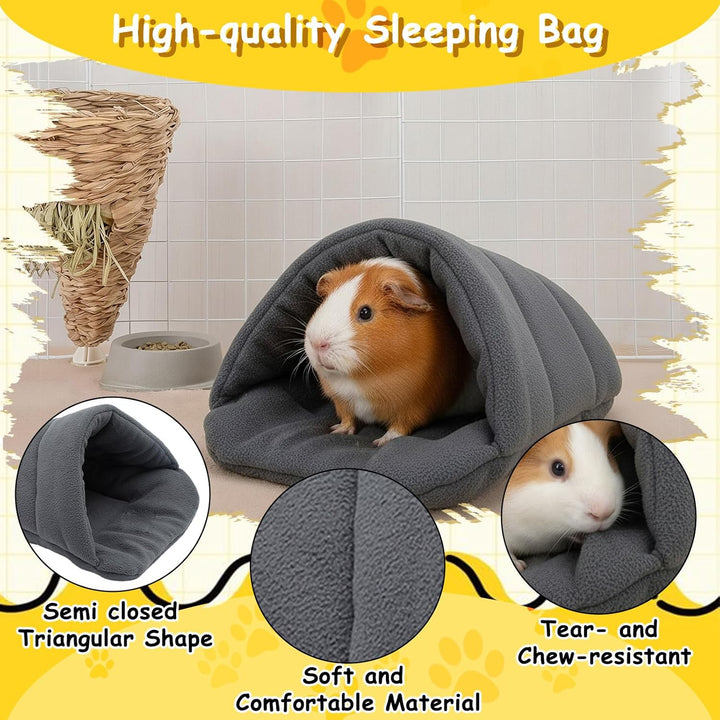 Meerschweinchen