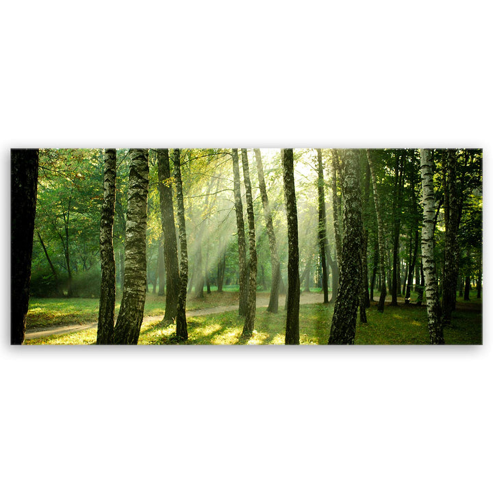 ge Bildet Bild auf Leinwand | Landschaftsbilder - Wald I in 100x40 cm als Panorama Wandbild | Wand-d
