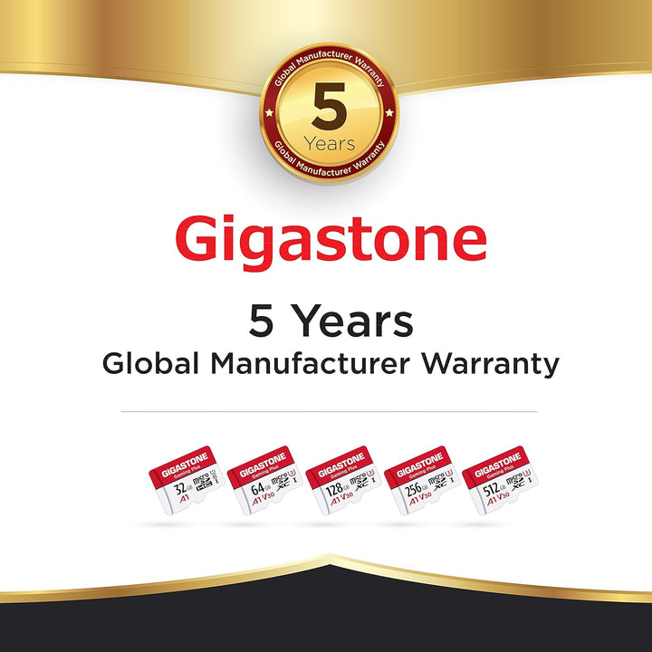 Gigastone Speicherkarte, 64 GB, 2 Karten, Gaming Plus Serie, Lesegeschwindigkeit bis zu 95 MB/s, A1