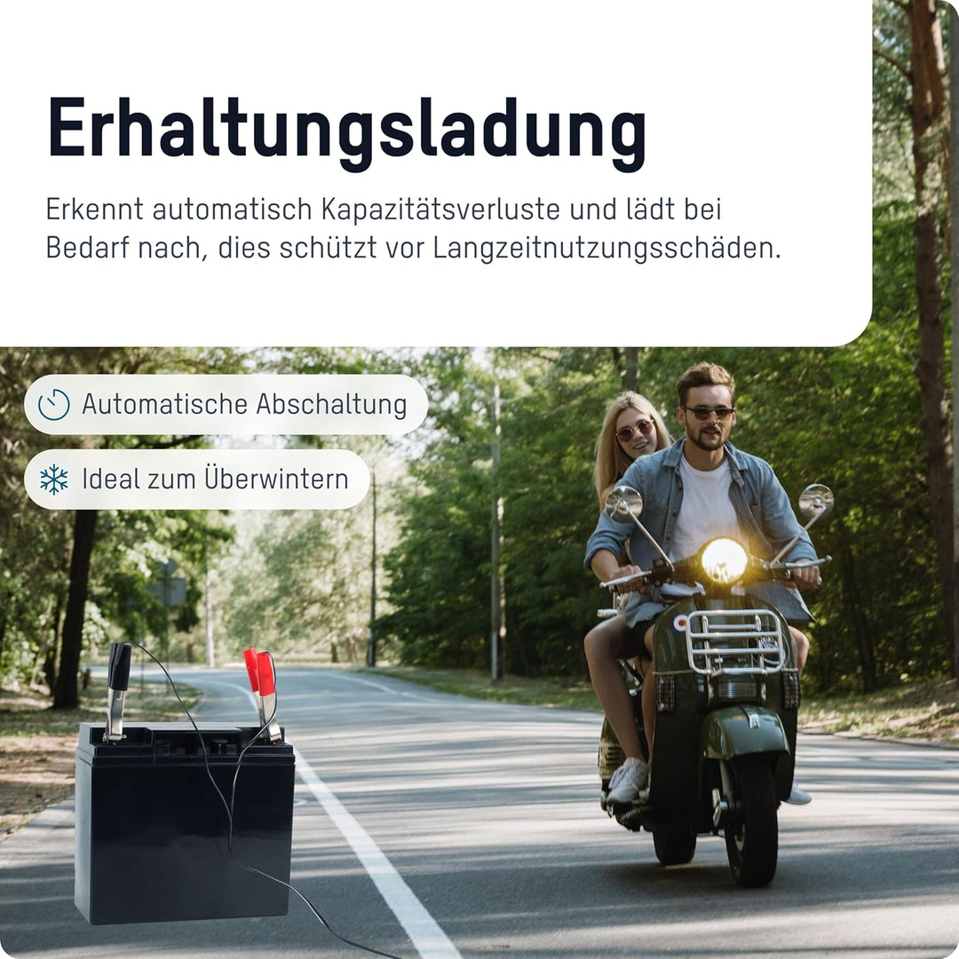 ANSMANN Batterie Ladegerät 2V/6V/12V mit Erhaltungsladung zum Einlagern von Blei Akkus (Gel, Wet, MF
