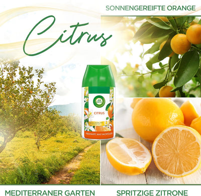 Air Wick Freshmatic Max Raumspray – Nachfüller für den Air Wick Freshmatic Max – Duft: Citrus – 6 x