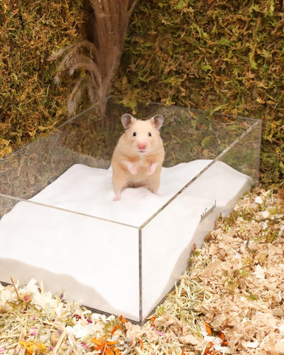 Niteangel Hamster Wüstenbad Sand | Staubfreier Badesand oder Streusand für Hamster, Chinchillas, Ger