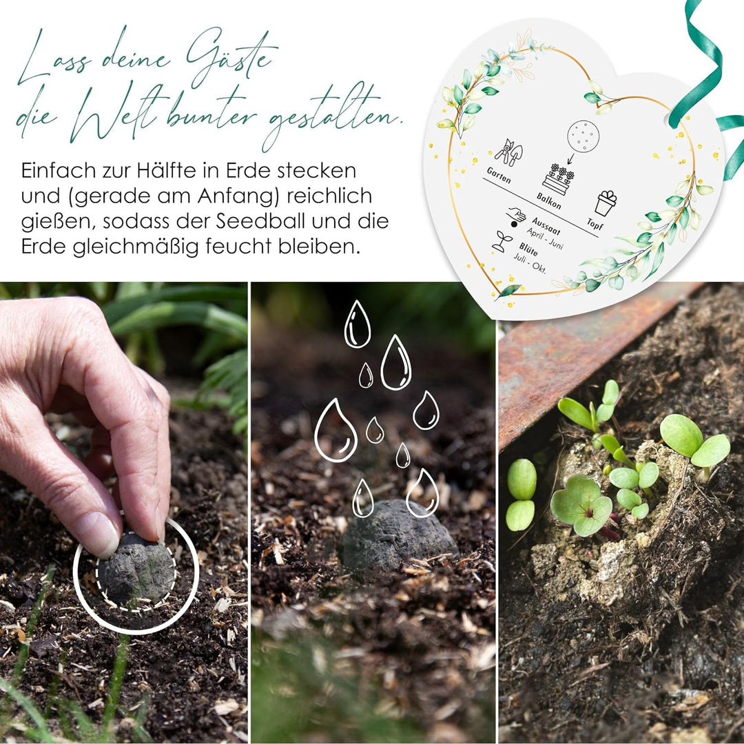 Gastgeschenke Hochzeit Blumensamen Samenbomben - Besonderes Hochzeitsgeschenk für Gäste als Give Awa