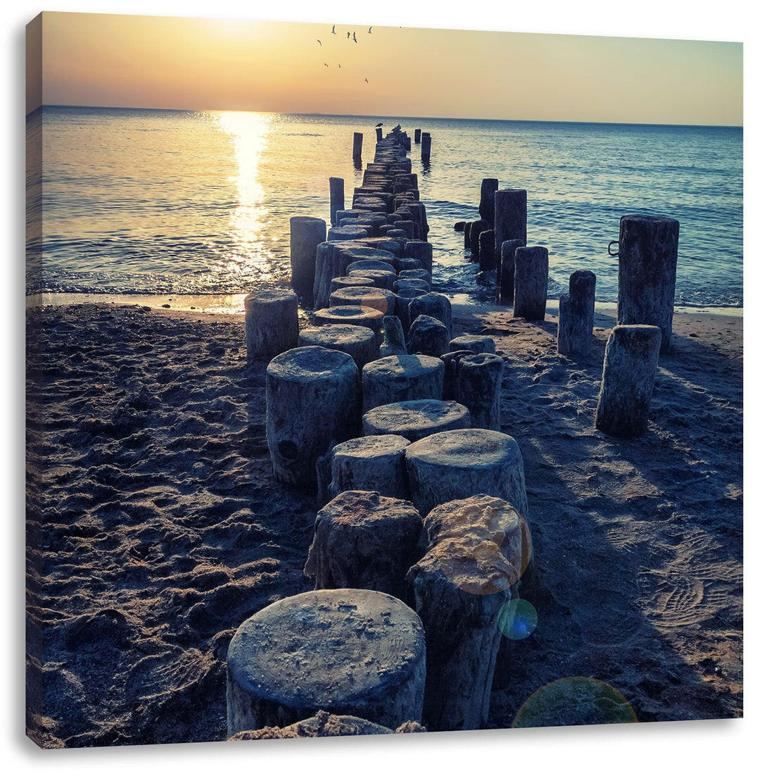 Baumstümpfe am Meer, Format: 70x70 auf Leinwand, XXL riesige Bilder fertig gerahmt mit Keilrahmen, K
