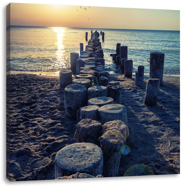 Baumstümpfe am Meer, Format: 70x70 auf Leinwand, XXL riesige Bilder fertig gerahmt mit Keilrahmen, K