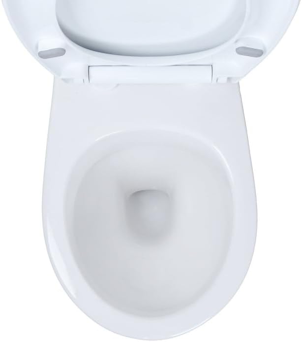 WC Toilette Hänge Wand WC (RosenStern) mit Soft-Close Deckel, Keramik