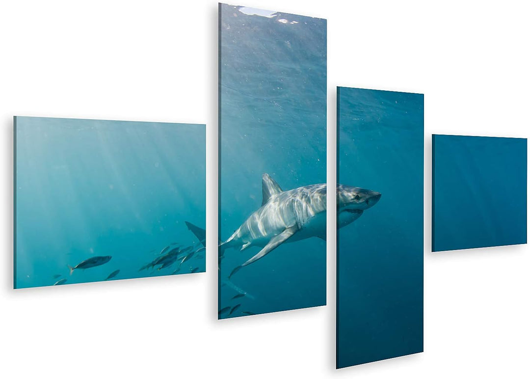 islandburner Bild auf Leinwand Grosser Weisser Hai Und Fischschwarm Bilder Wandbilder Poster Leinwan