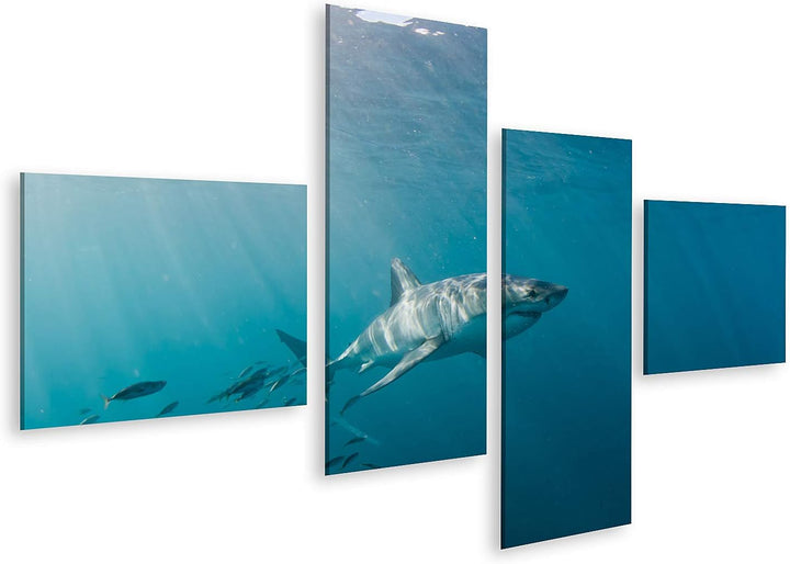 islandburner Bild auf Leinwand Grosser Weisser Hai Und Fischschwarm Bilder Wandbilder Poster Leinwan