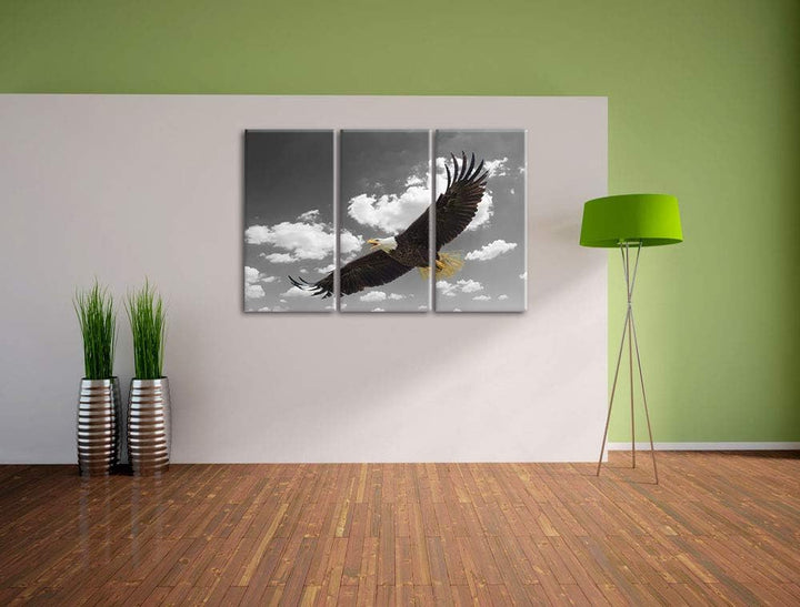 prächtiger Weisskopfseeadler beim fliegen schwarz/weiss 3-Teiler Leinwandbild 120x80 Bild auf Leinwa