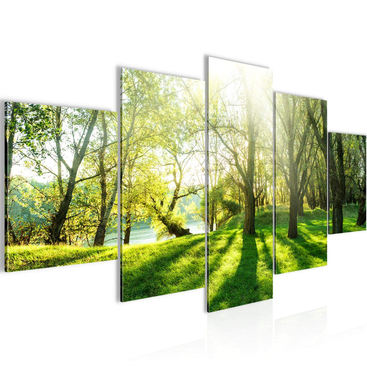 Runa Art Wandbilder Wald Landschaft 5 Teilig Bild auf Vlies Leinwand Deko Schlafzimmer Wohnzimmer So