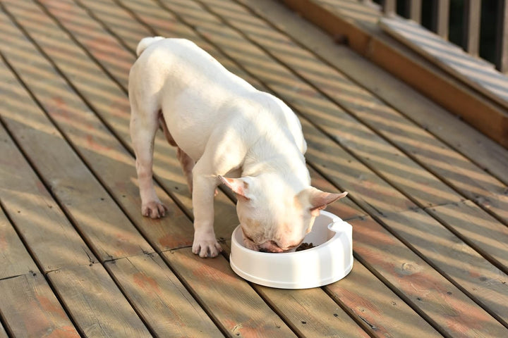 DOGNESS Travel Bowl Reise-Napf – Doppelfunktion zum Trinken und Füttern, versteckter Wasserspeicher,